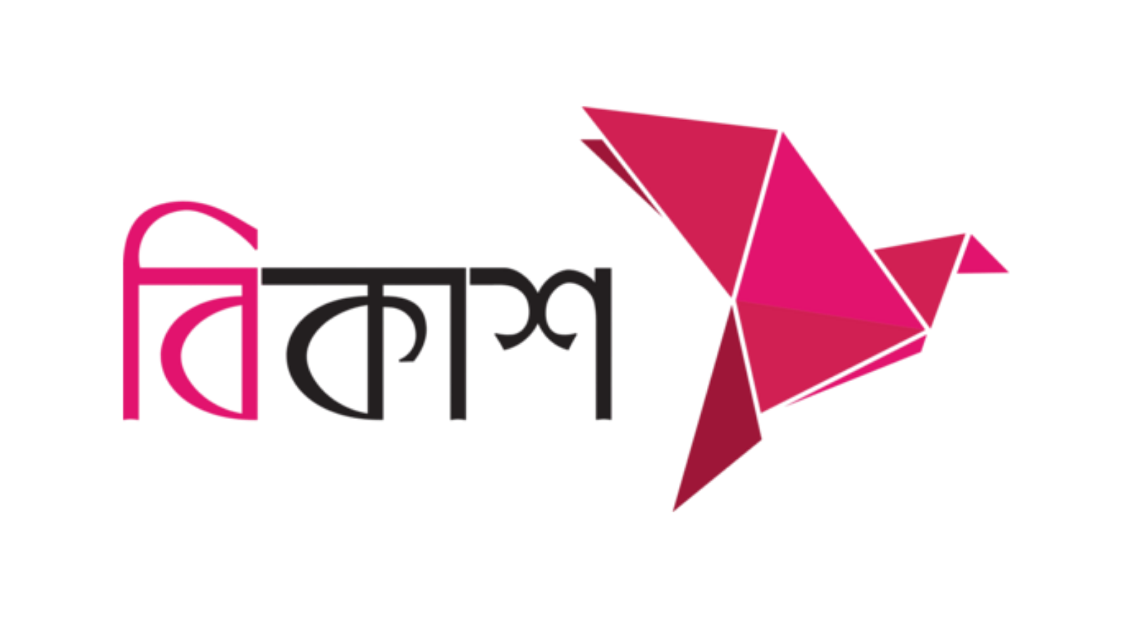 bKash Logo
